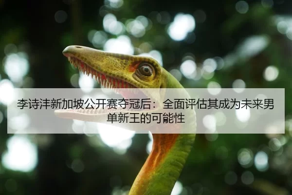 李诗沣新加坡公开赛夺冠后：全面评估其成为未来男单新王的可能性