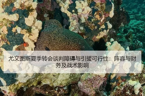 you-wen-tu-si-xia-ji-zhuan-hui-tan-pan-zhang-ai-yu-yin-yuan-ke-xing-xing-zhen-rong-yu-cai-wu-ji-zhan-shu-ying-xiang-2-195.jpg